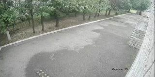 Camera__202507211ee.jpg