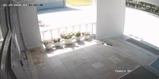 192168115_Camera_02_192168115_20250729120140_31026.jpg