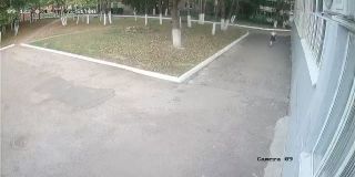 ohrana_Camera_09_ohrana_20240912075108_604834466.jpg