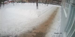ohrana_Camera_09_ohrana_20250123080650_849829155.jpg