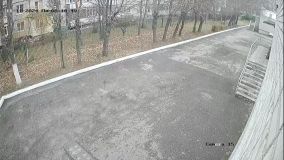15.jpeg