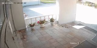 192168115_Camera_02_192168115_20250821090748_12452.jpg