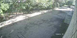 192168115_Camera_15_192168115_20250821090753_18172.jpg