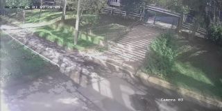 192168115_Camera_03_192168115_20250826092005_10773.jpg