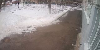 ohrana_Camera_09_ohrana_20241203152529_1019429705.jpg