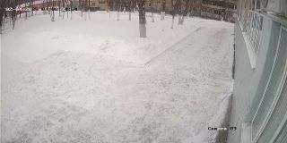 ohrana_Camera_09_ohrana_20250204083454_519671412.jpg