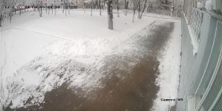 ohrana_Camera_09_ohrana_20241125090410_305008522.jpg