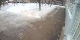 ohrana_Camera_09_ohrana_20250129081403_24141.jpg