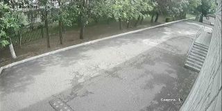 ohrana_Camera_15_ohrana_20240801081740_602371566.jpg