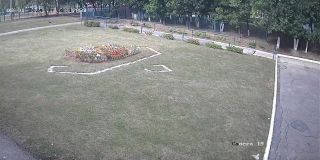 ohrana_Camera_19_ohrana_20240801081733_602365315.jpg