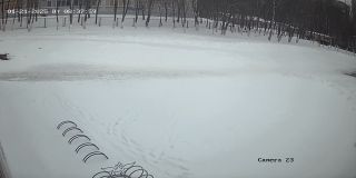 ohrana_Camera_23_ohrana_20250121083759_678899374.jpg