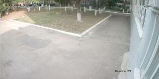 ohrana_Camera_09_ohrana_20240919081643_1211166612.jpg