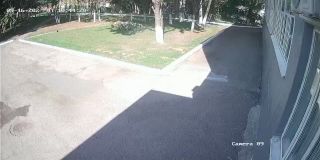 192168115_Camera_09_192168115_20250916104420_16351.jpg