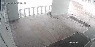 ohrana_Camera_02_ohrana_20250311080245_-1.jpg