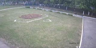 ohrana_Camera_19_ohrana_20240605091652_1903787398.jpg