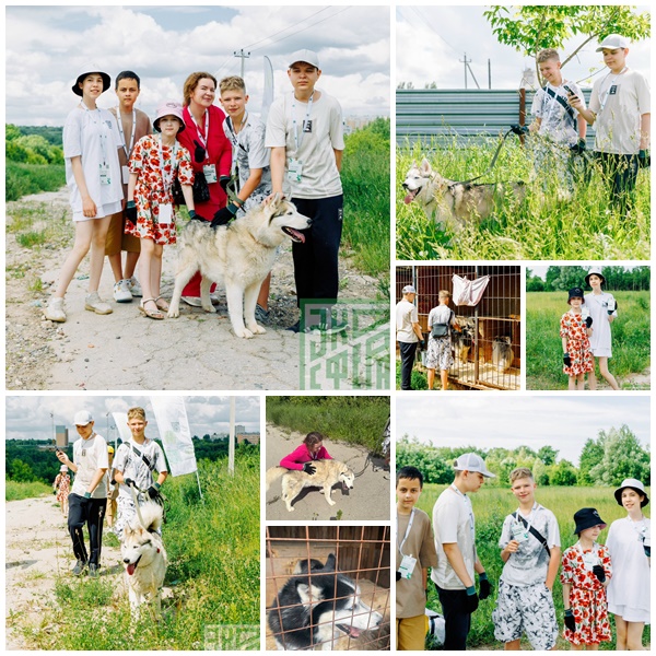 n0567 page