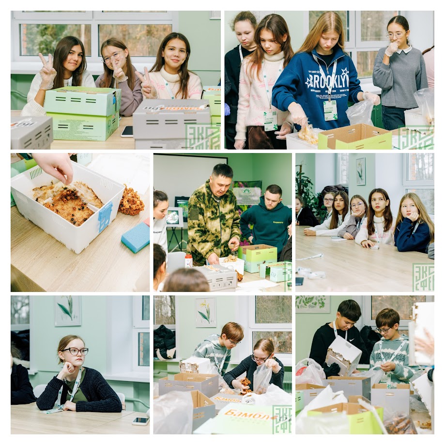 2sGw8sW626 pao5sjHzFopmqAv09mz1JEYGng3yYjMe9 3xutV8FxevVWeGmSfNIgVD4Uqs R8vr3er6B7vSLIPL COLLAGE